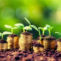 Comment investir tresorerie entreprise F