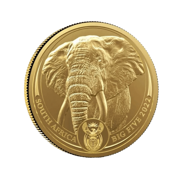Big 5 d’Afrique du Sud de 1 once – Éléphant