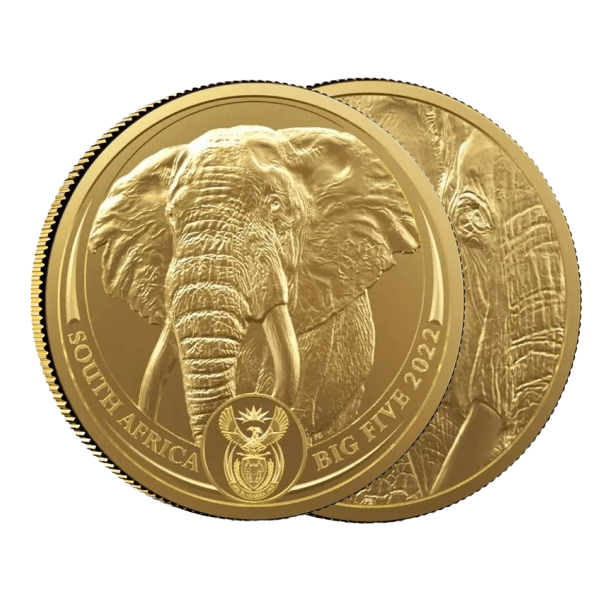 Big 5 d'Afrique du Sud de 1 once - Éléphant