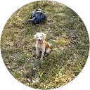 Martine Brun profile picture